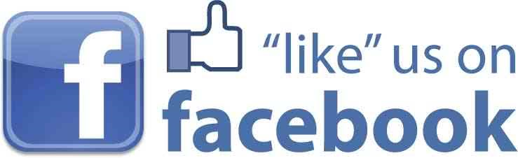 FB like logo 2